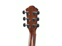 Ibanez AEG220-LGS Ibanez AEG220-LGS